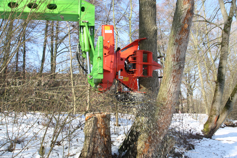 Beispielarbeit von Nürnberger Baumpflege GmbH - veröffentlicht auf Gartenbau.org