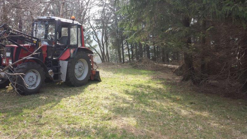 Beispielarbeit von Landschaftspflege Daniel - veröffentlicht auf Gartenbau.org