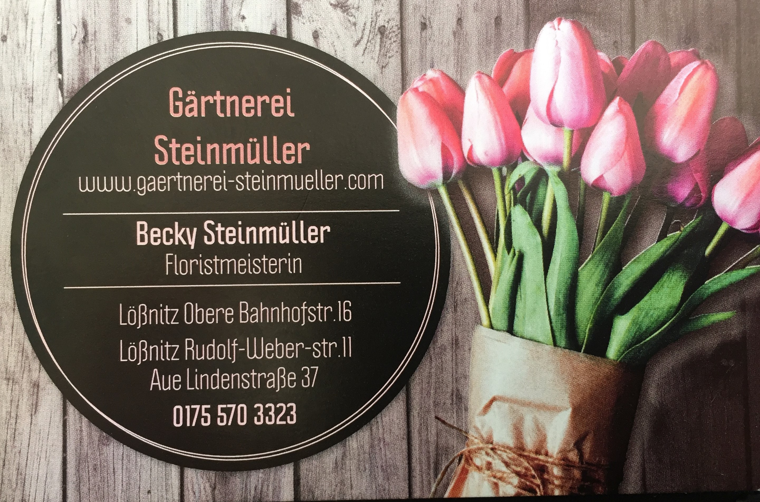 Logo der Firma Blumengeschäft Steinmüller aus Lößnitz auf dem Branchenportal Gartenbau.org
