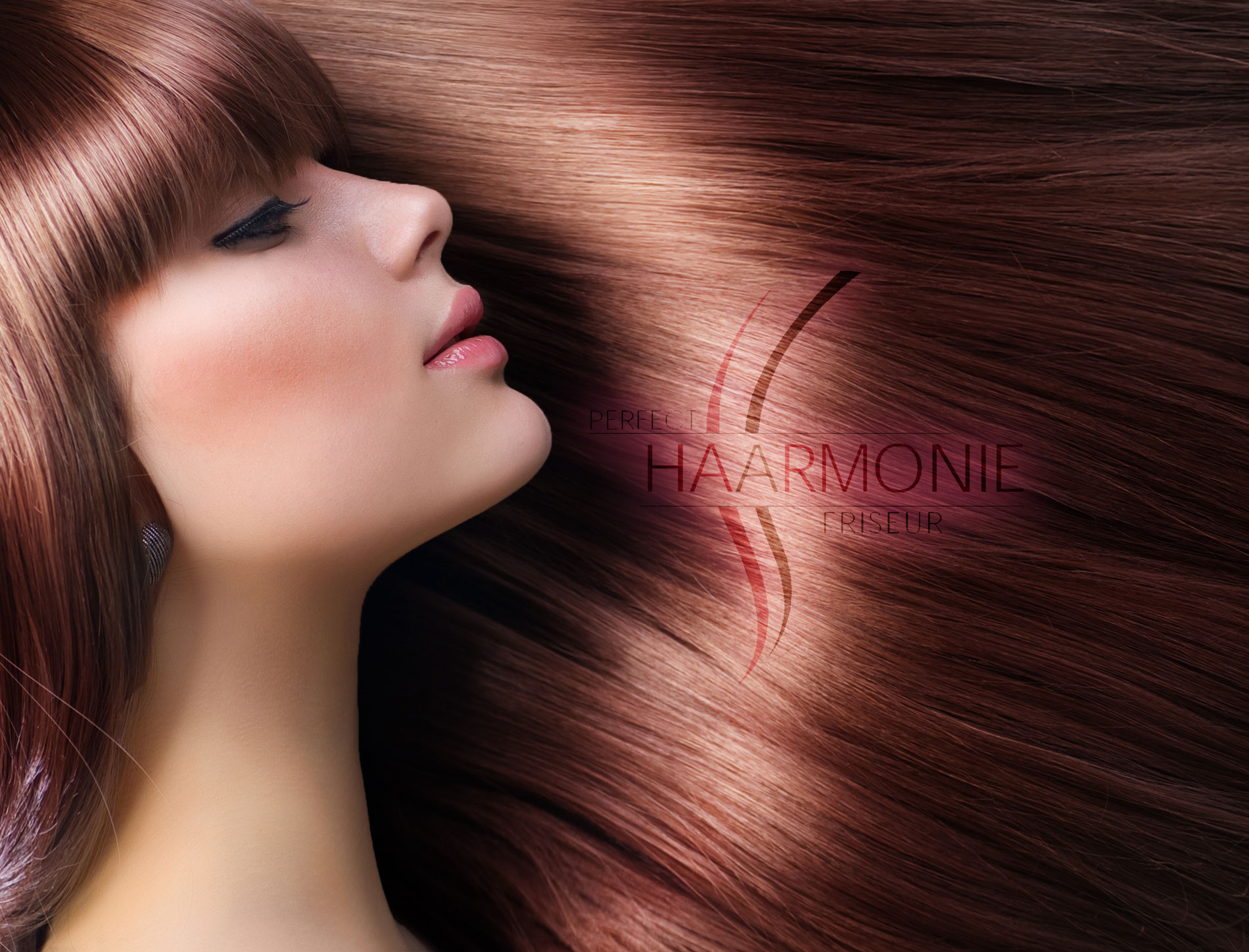 Perfect- Haarmonie cover image