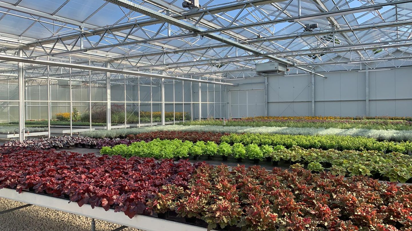 Beispielarbeit von Blumen Meer Gärtnerei & Floristik - veröffentlicht auf Gartenbau.org