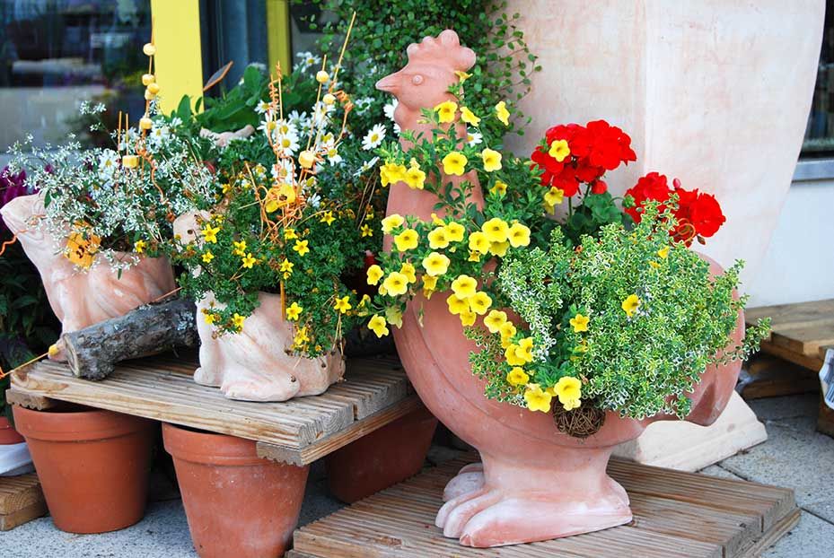 Beispielarbeit von Grimm Otto Gärtnerei - veröffentlicht auf Gartenbau.org