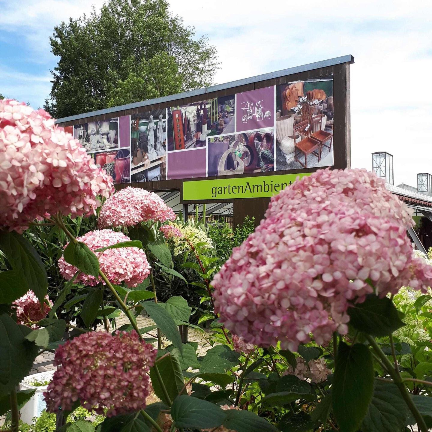 Beispielarbeit von Blumen Hopf - veröffentlicht auf Gartenbau.org
