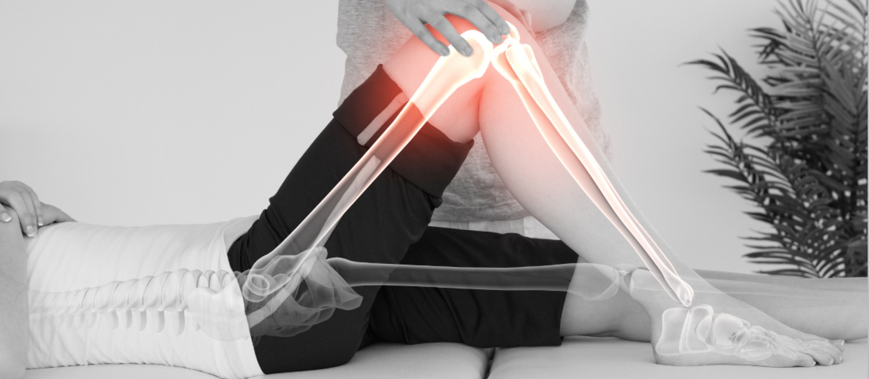 Physiotherapie im Zentrum Helga Steidl cover image