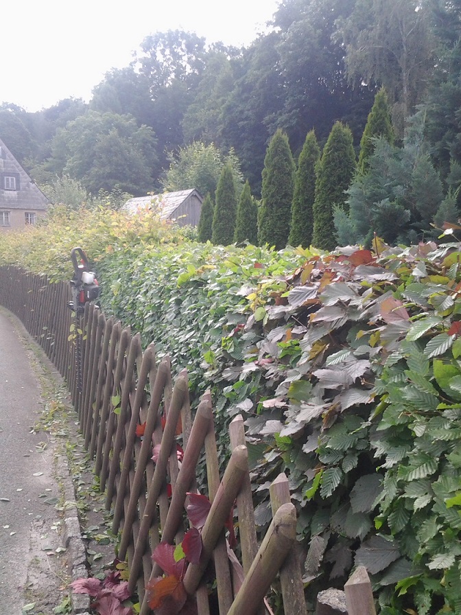 Beispielarbeit von Baumpflege & Baumfällung Bach GbR - veröffentlicht auf Gartenbau.org