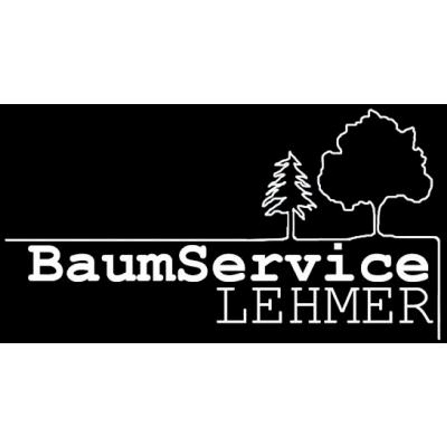 Logo der Firma BaumService Lehmer aus Schwandorf auf dem Branchenportal Gartenbau.org