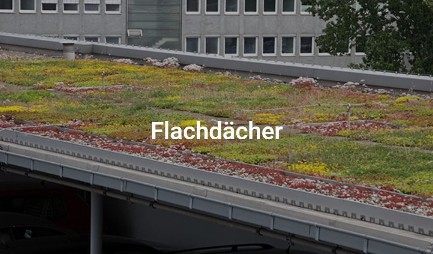 Beispielarbeit von Wolfgang Bock Dach und Bau GmbH - veröffentlicht auf Dachdecker.com