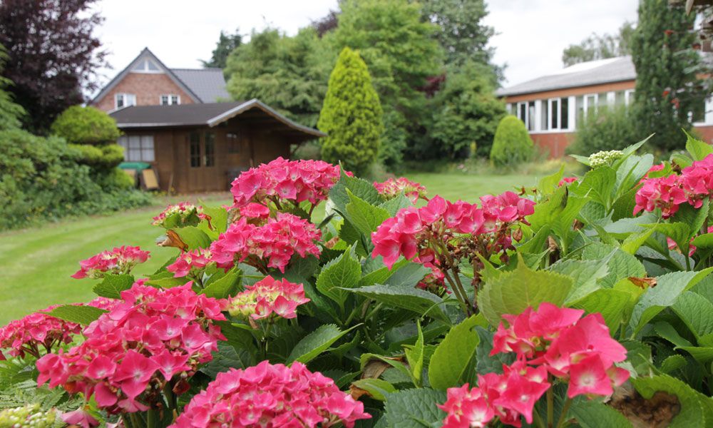 Beispielarbeit von Die Raumwerkstatt Anja Breitenberger - veröffentlicht auf Gartenbau.org