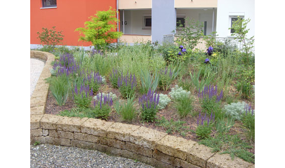 Beispielarbeit von Kaiser Klaus, Dipl.-Ing. - veröffentlicht auf Gartenbau.org