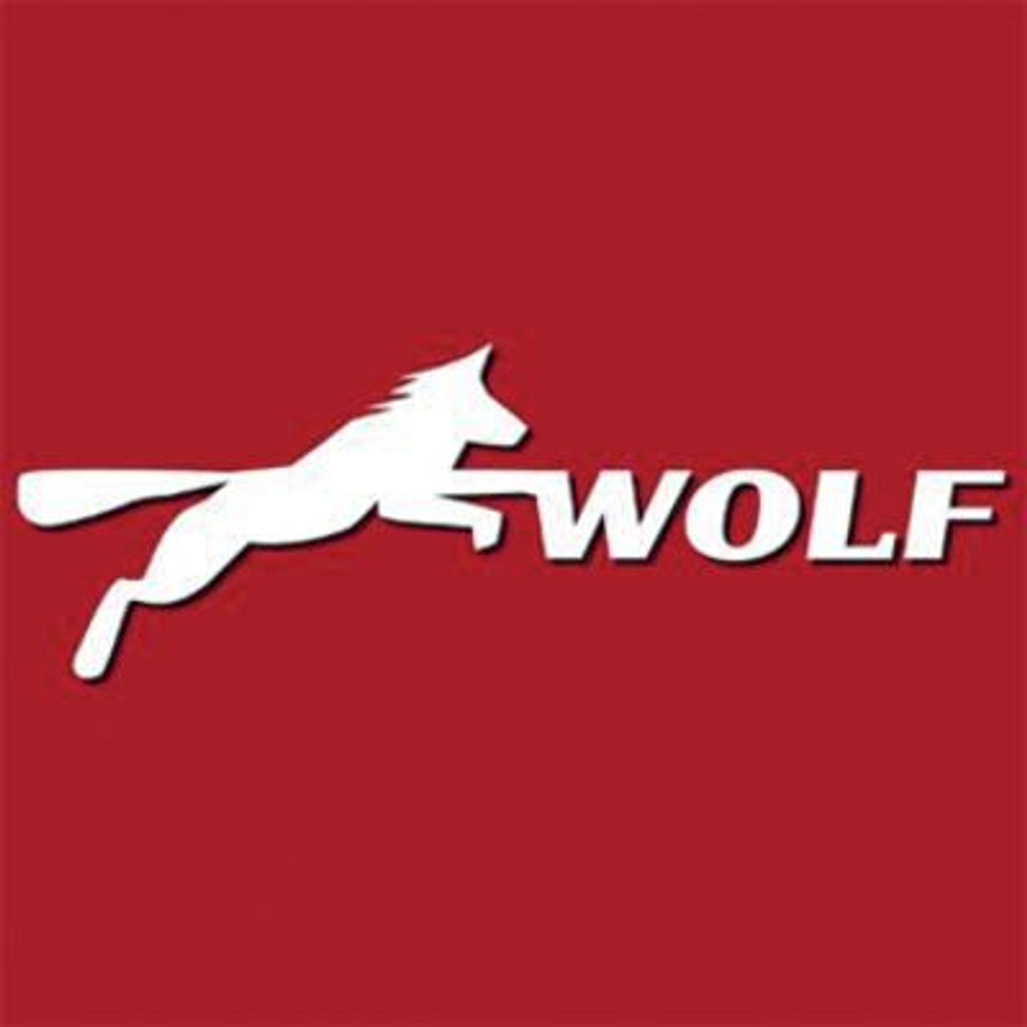 Logo der Firma Reifen- und Autoservice Wolf aus Reichenbach auf dem Branchenportal Auto-Werkstatt.de