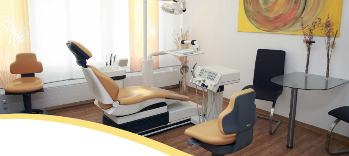 Dr. Sabine Steininger cover image