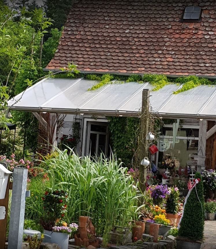 Beispielarbeit von flower dreams - veröffentlicht auf Gartenbau.org