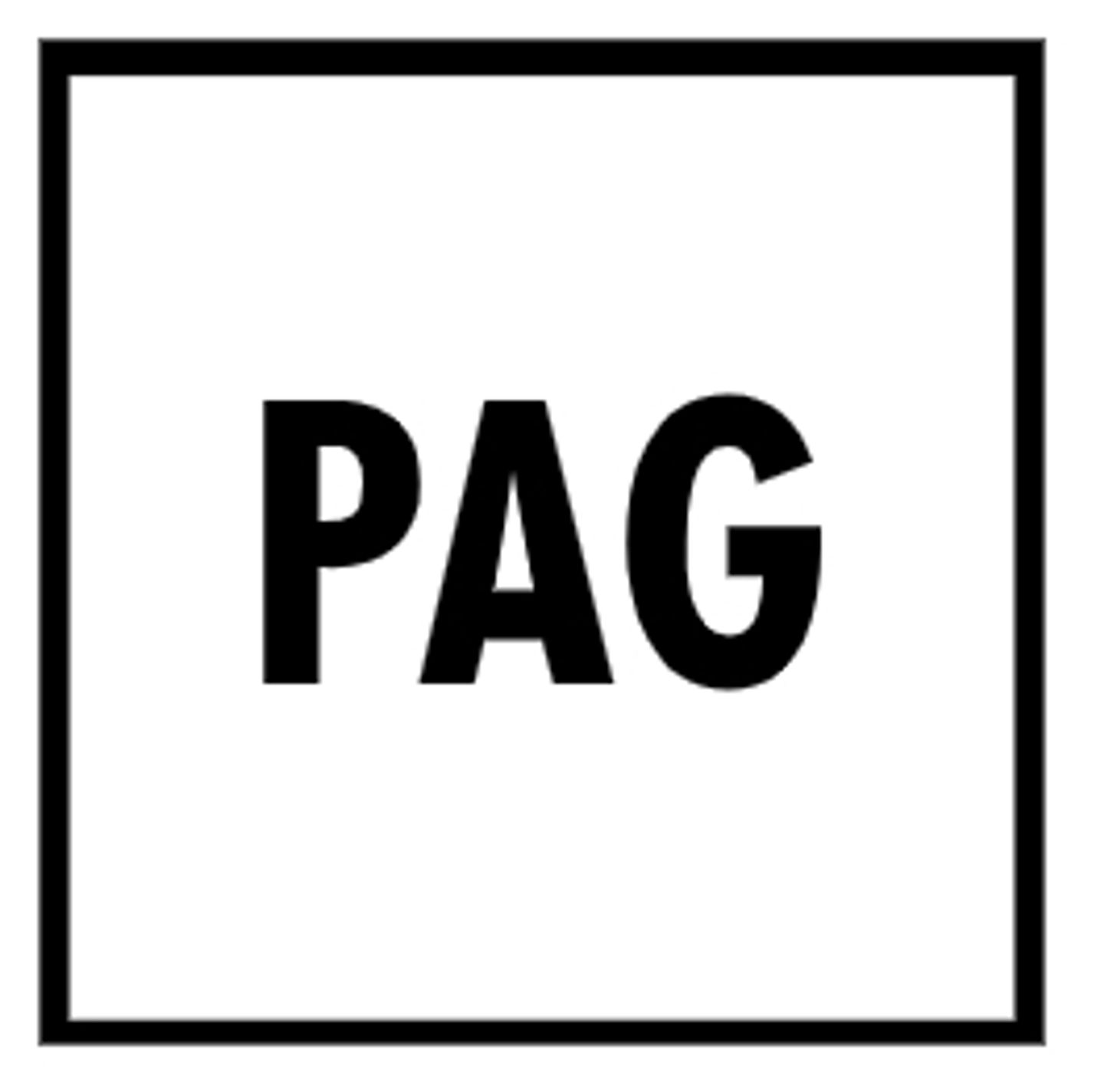 Logo der Firma PAG Planungsges.für Anlagen u. Gebäudetechnik mbH aus Weiden auf dem Branchenportal Bauunternehmen.org