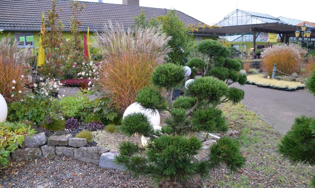 Beispielarbeit von Gartengestaltung Förster - veröffentlicht auf Gartenbau.org