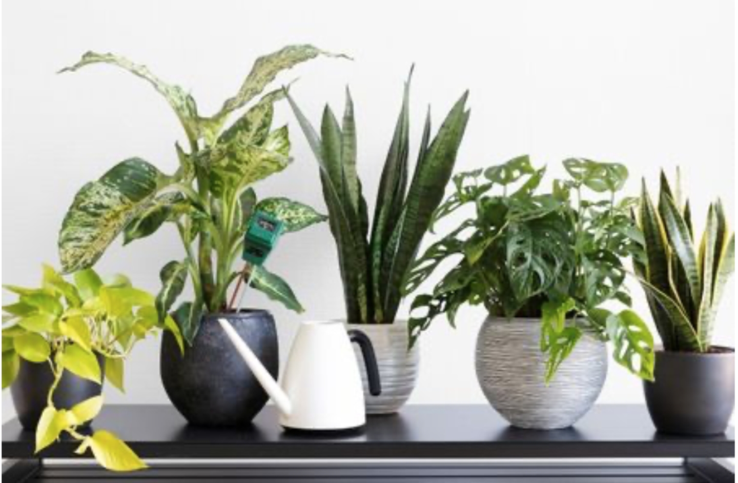 Beispielarbeit von Blumen Geidies - veröffentlicht auf Gartenbau.org