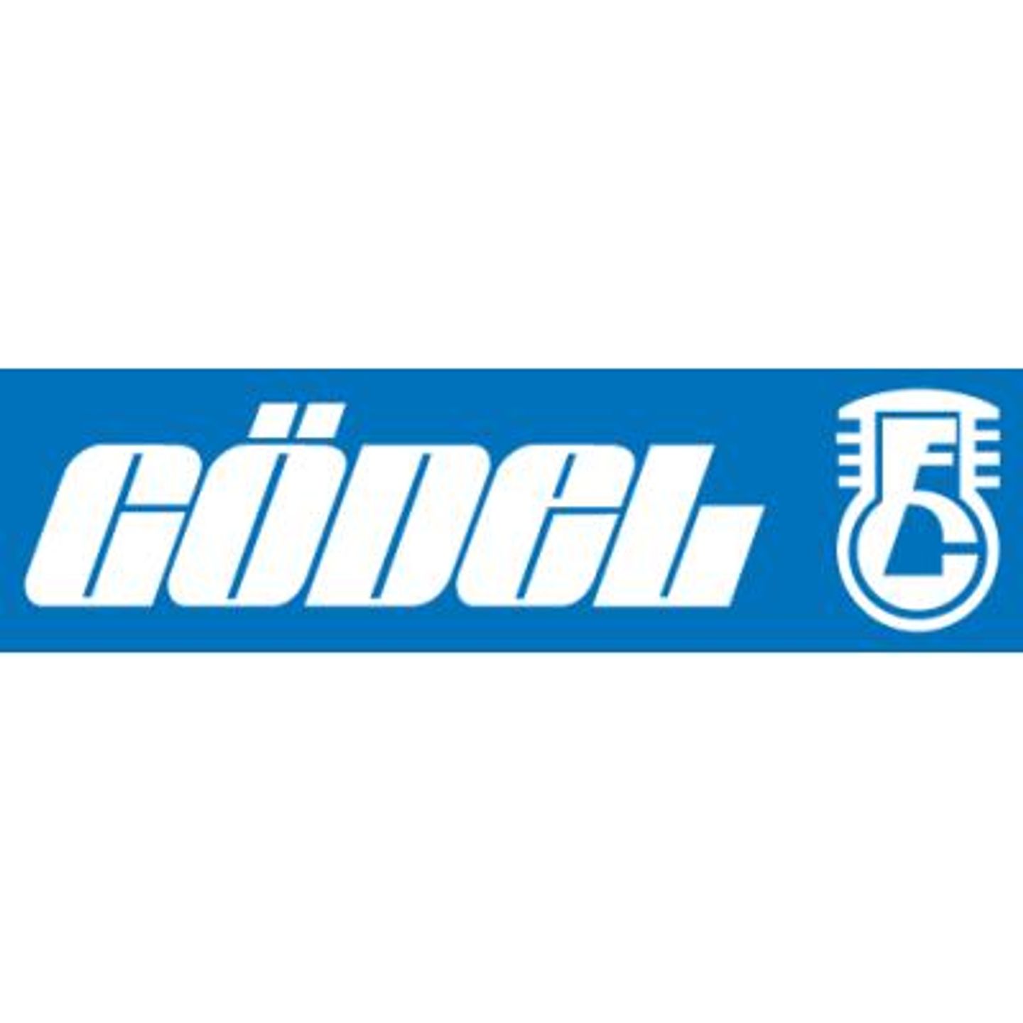 Logo der Firma Rainer Fanghänel PKW & Nutzfahrzeug-Service GÖDEL aus Zwönitz auf dem Branchenportal Auto-Werkstatt.de