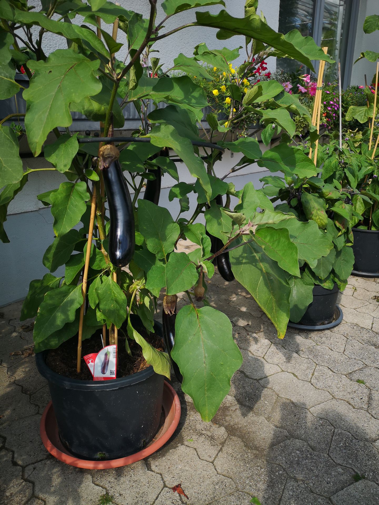 Beispielarbeit von Blumen Böswirth | Gärtnerei Pfaffenhofen - veröffentlicht auf Gartenbau.org