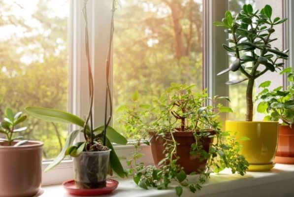 Beispielarbeit von Gartenbau Stefan Lampert - veröffentlicht auf Gartenbau.org