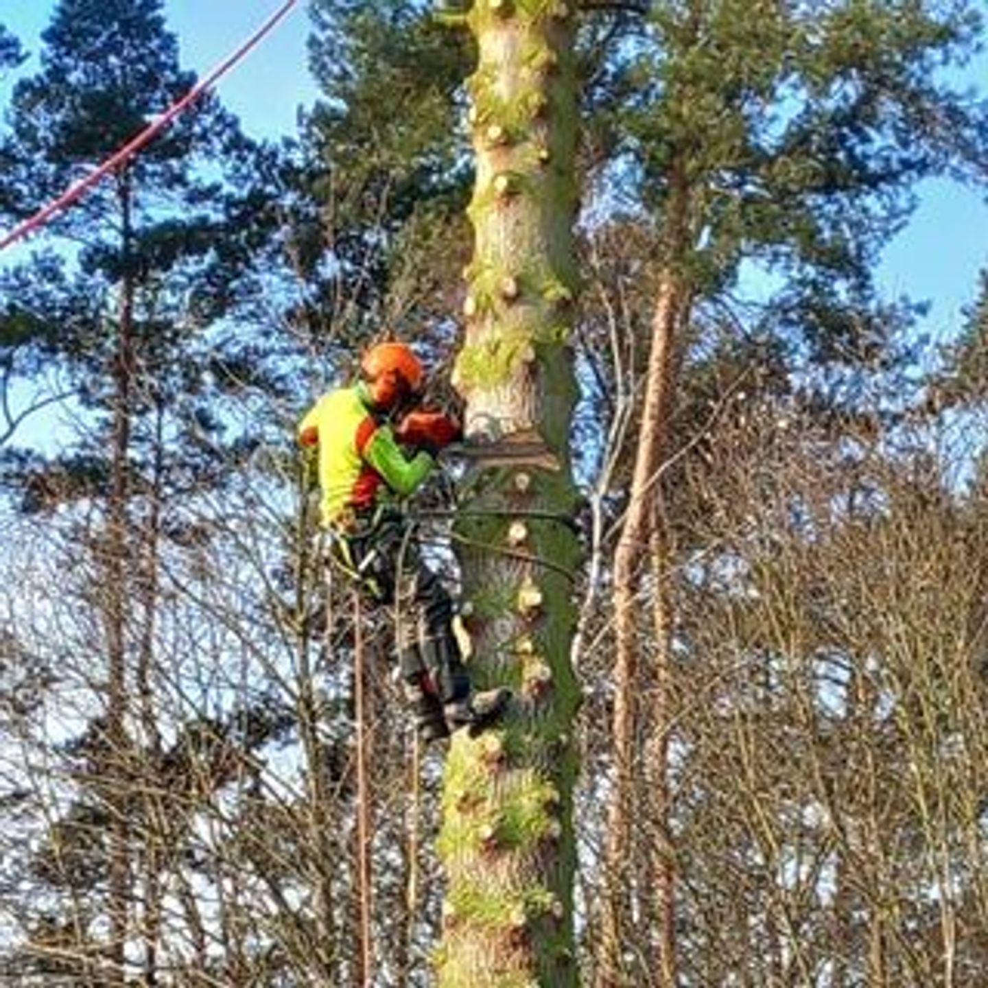 Beispielarbeit von Garten- und Landschaftspflege Holger Greschok - veröffentlicht auf Gartenbau.org
