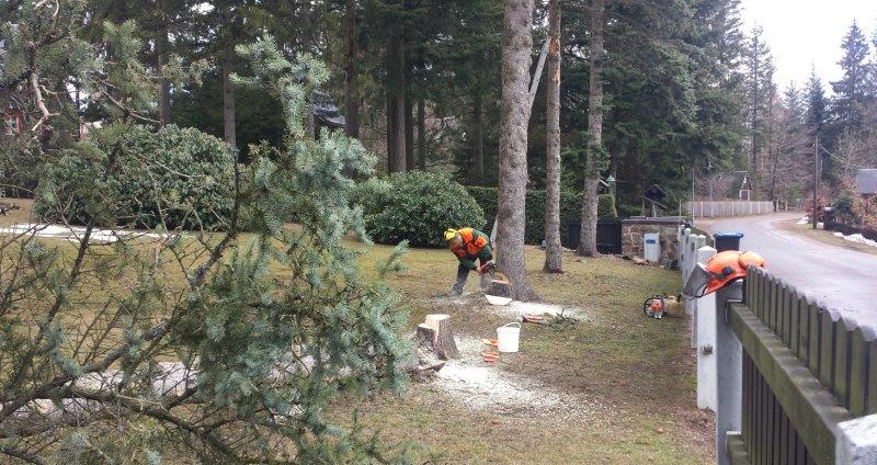 Beispielarbeit von Landschaftspflege Daniel - veröffentlicht auf Gartenbau.org