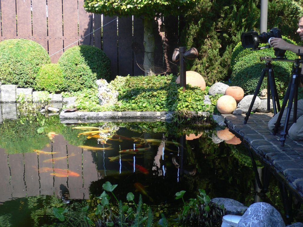 Beispielarbeit von Ferdinand Peun - Gartengestaltung mit Pfiff - veröffentlicht auf Gartenbau.org