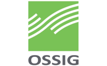 Logo der Firma Steuerberatungsgesellschaft mbH Ossig aus Bad Kissingen auf dem Branchenportal Steuer-Berater.de