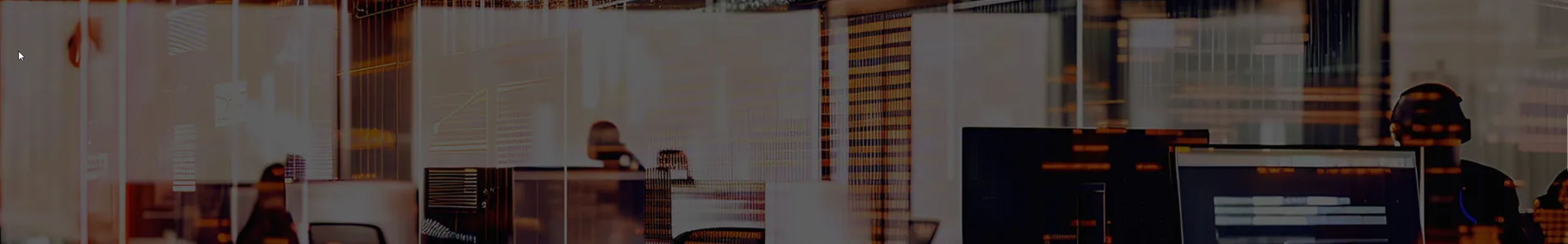 Michael Schmidt IT GmbH cover image