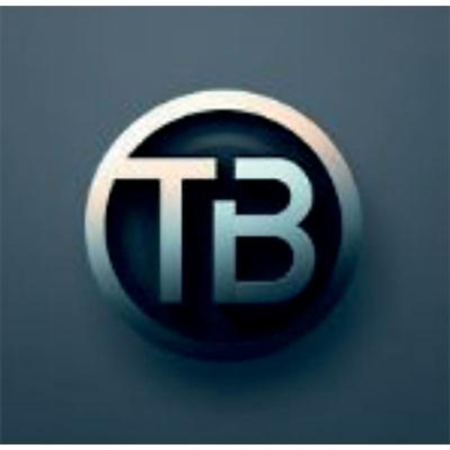 Logo der Firma Steuerberaterin Tina Bernhardt aus Taucha auf dem Branchenportal Steuer-Berater.de