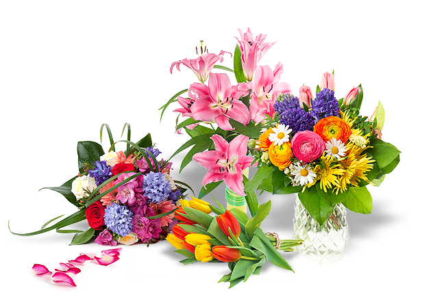Beispielarbeit von Blumen und Gartenbau Leiterer & Rö- del Inh. Uwe Rödel e.K. - veröffentlicht auf Gartenbau.org
