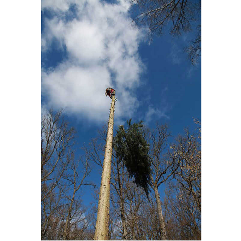Beispielarbeit von Benjamin Baisch Garten- und Landschaftsbau - veröffentlicht auf Gartenbau.org