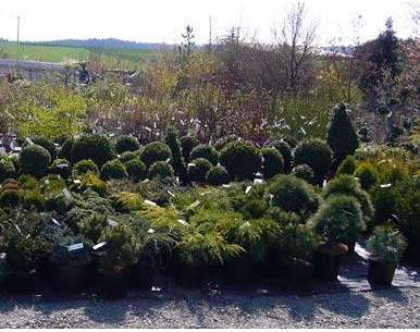 Beispielarbeit von Garten- u. Landschaftsbau Weiß Andreas - veröffentlicht auf Gartenbau.org