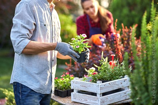 Beispielarbeit von Gärtnerei Mehlhose Inh. Mandy Ritscher - veröffentlicht auf Gartenbau.org