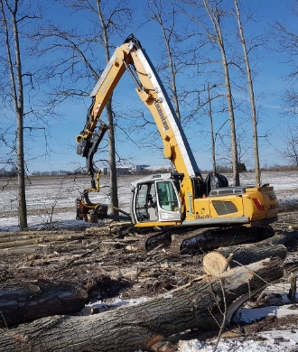 Beispielarbeit von Baumpflegebetrieb Schulze - veröffentlicht auf Gartenbau.org