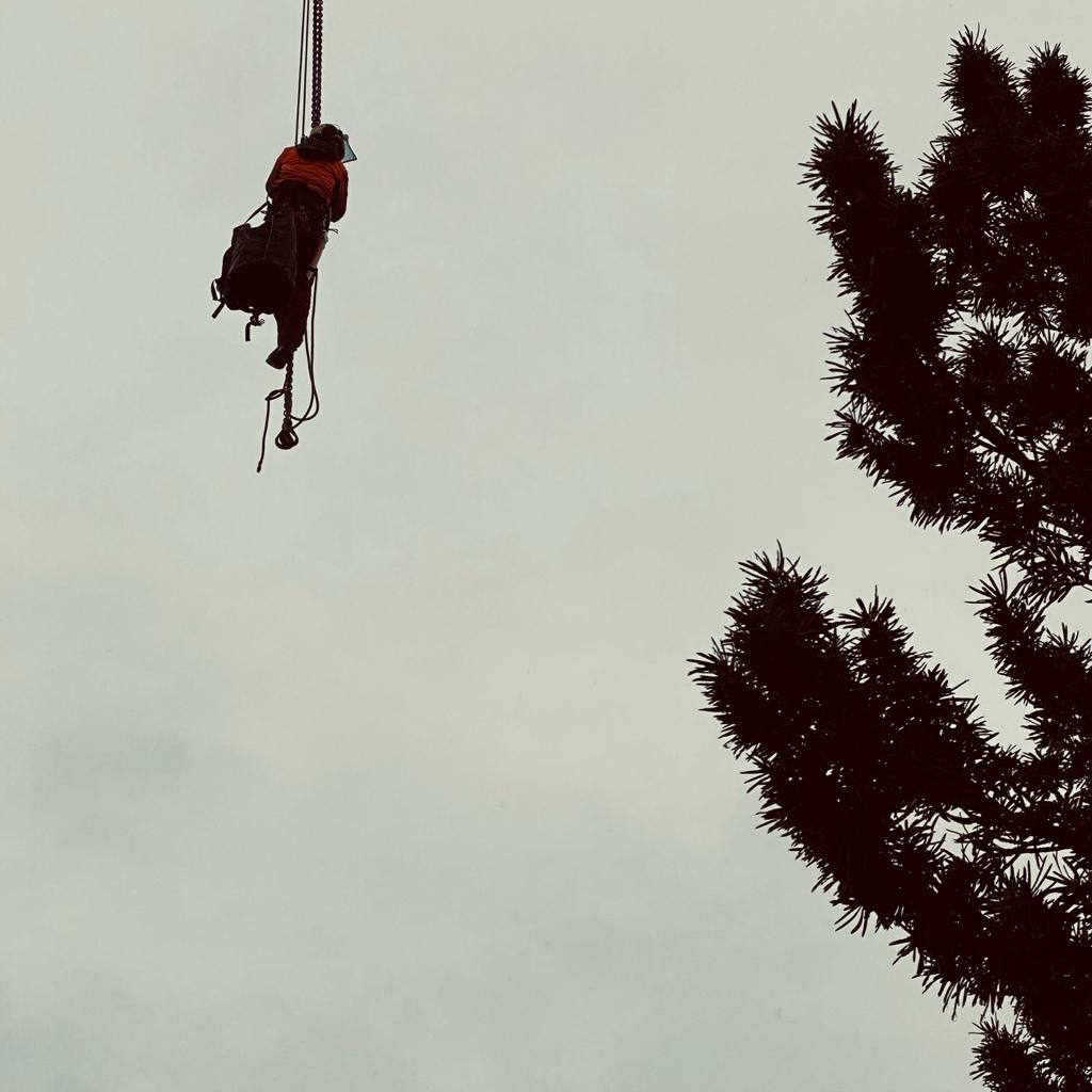 Beispielarbeit von Baumkonzept GmbH - veröffentlicht auf Gartenbau.org