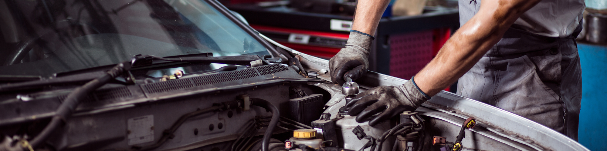 Paul Kerscher GmbH cover image