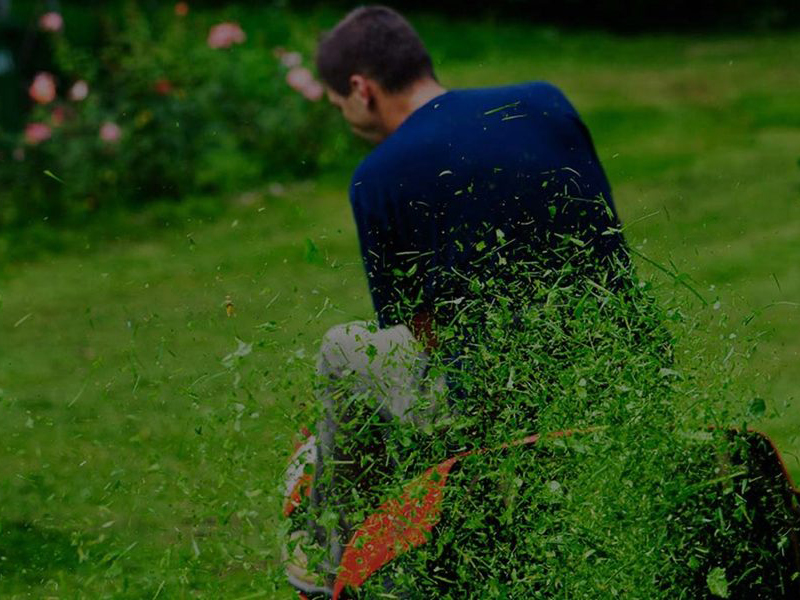 Beispielarbeit von DHS Hausmeister-Service GmbH - veröffentlicht auf Hausmeisterdienste.net