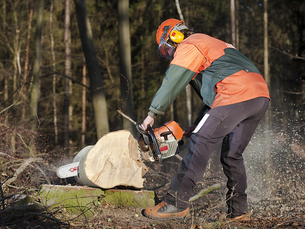 Beispielarbeit von KS LandService GmbH - veröffentlicht auf Gartenbau.org