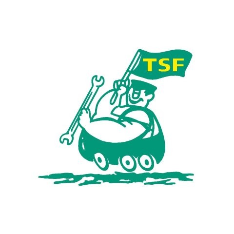 TSF Technik Service Feldgeding GmbH