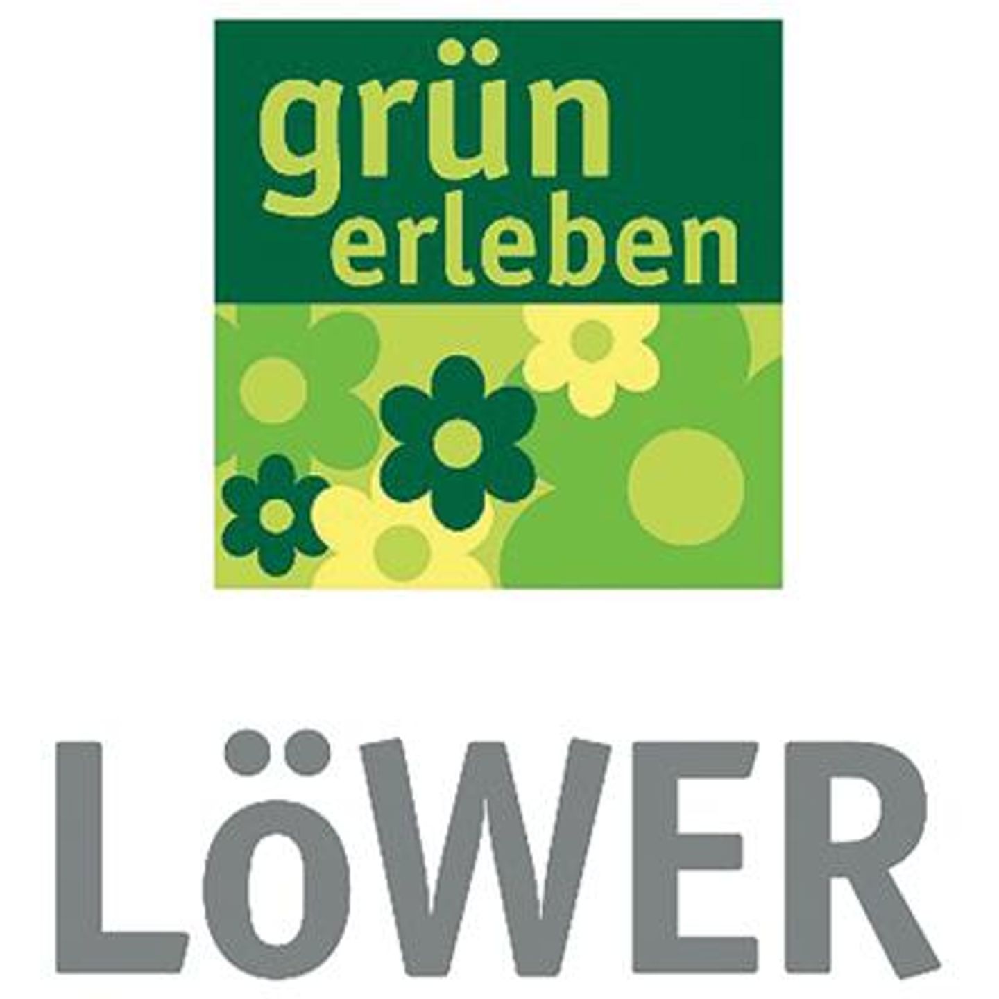 Löwer GmbH  - LOGO