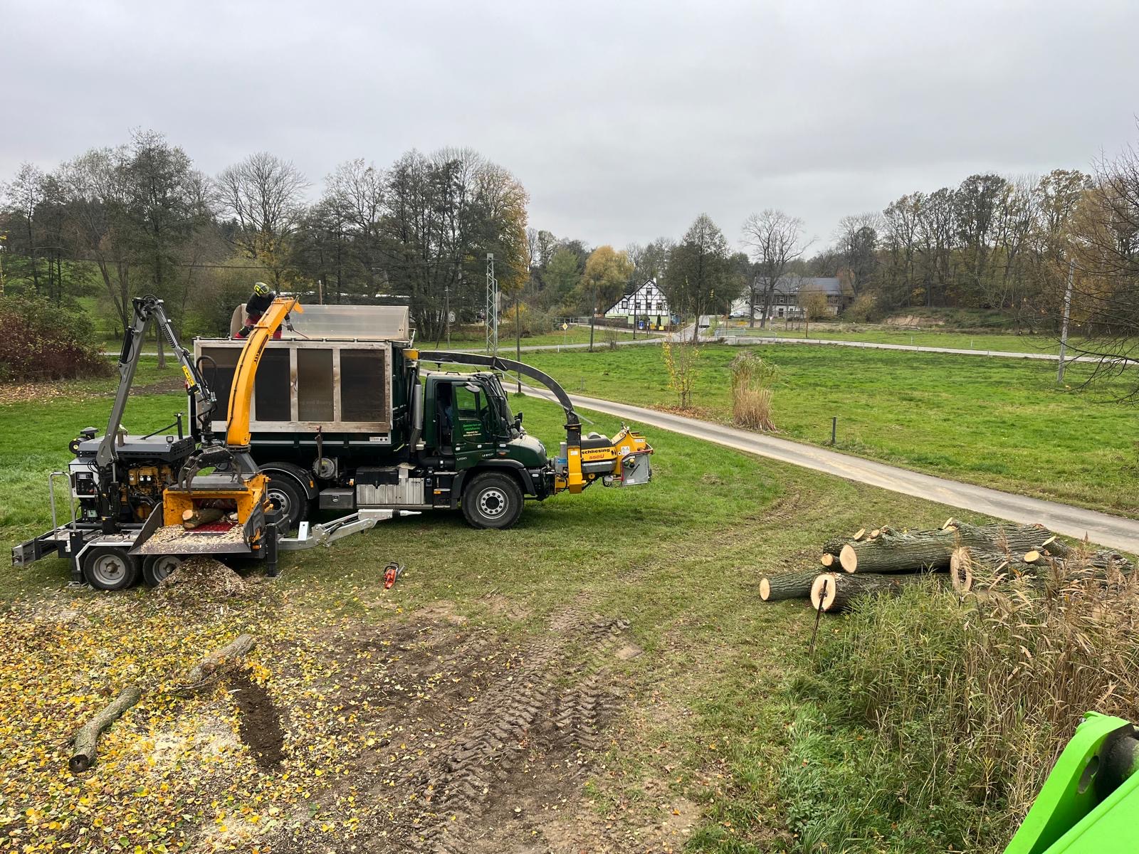 Beispielarbeit von Chemnitzer Forst- und Landschaftsservice - veröffentlicht auf Gartenbau.org