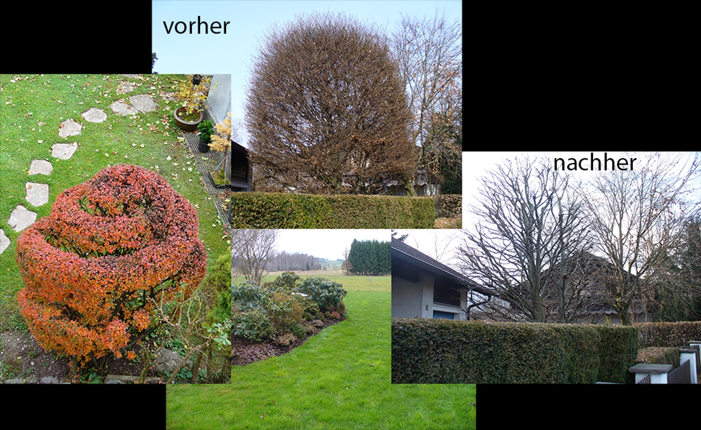Beispielarbeit von Baumgartner - veröffentlicht auf Gartenbau.org