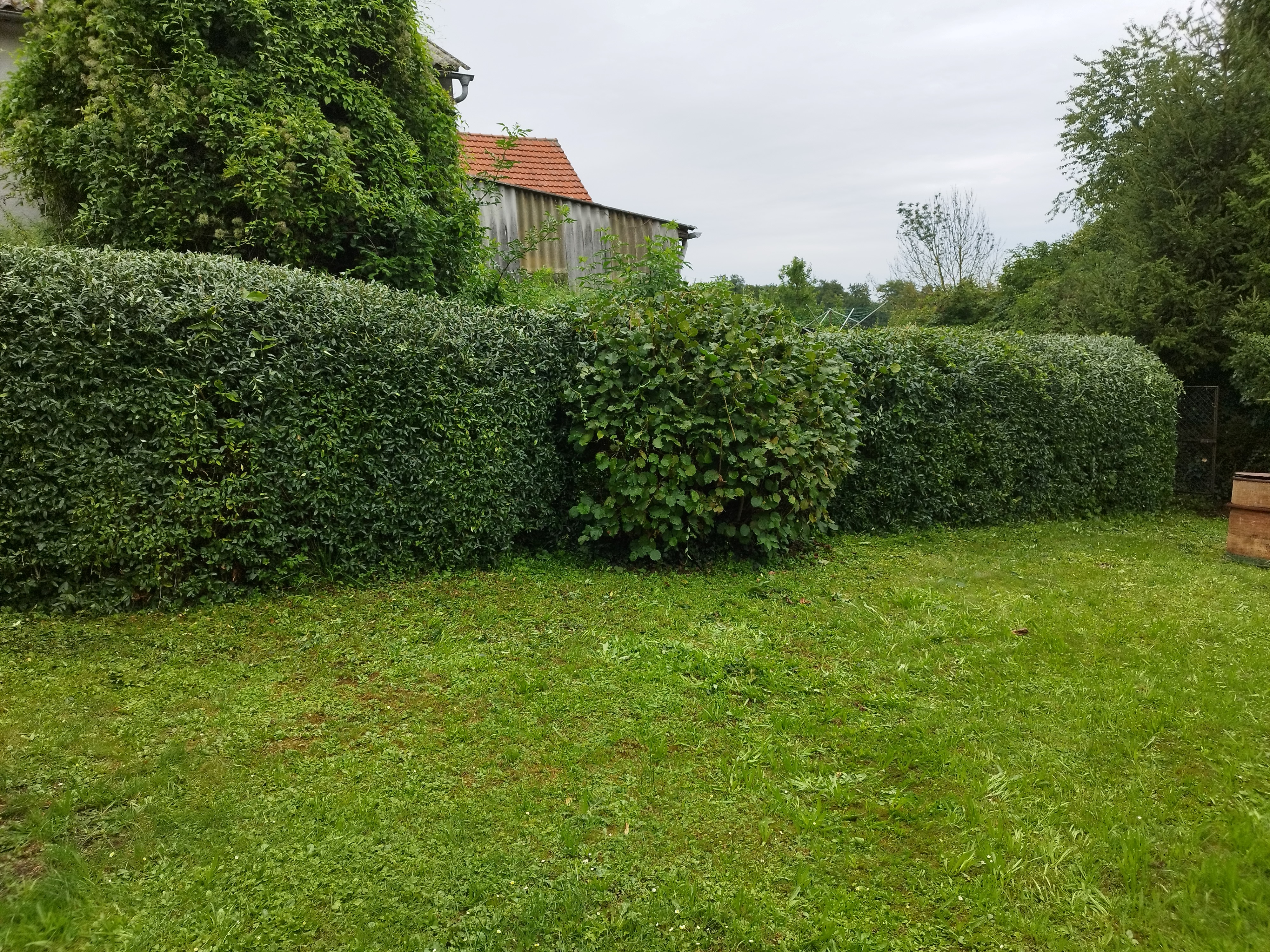 Beispielarbeit von Garten und Saison Service GUSS - veröffentlicht auf Gartenbau.org
