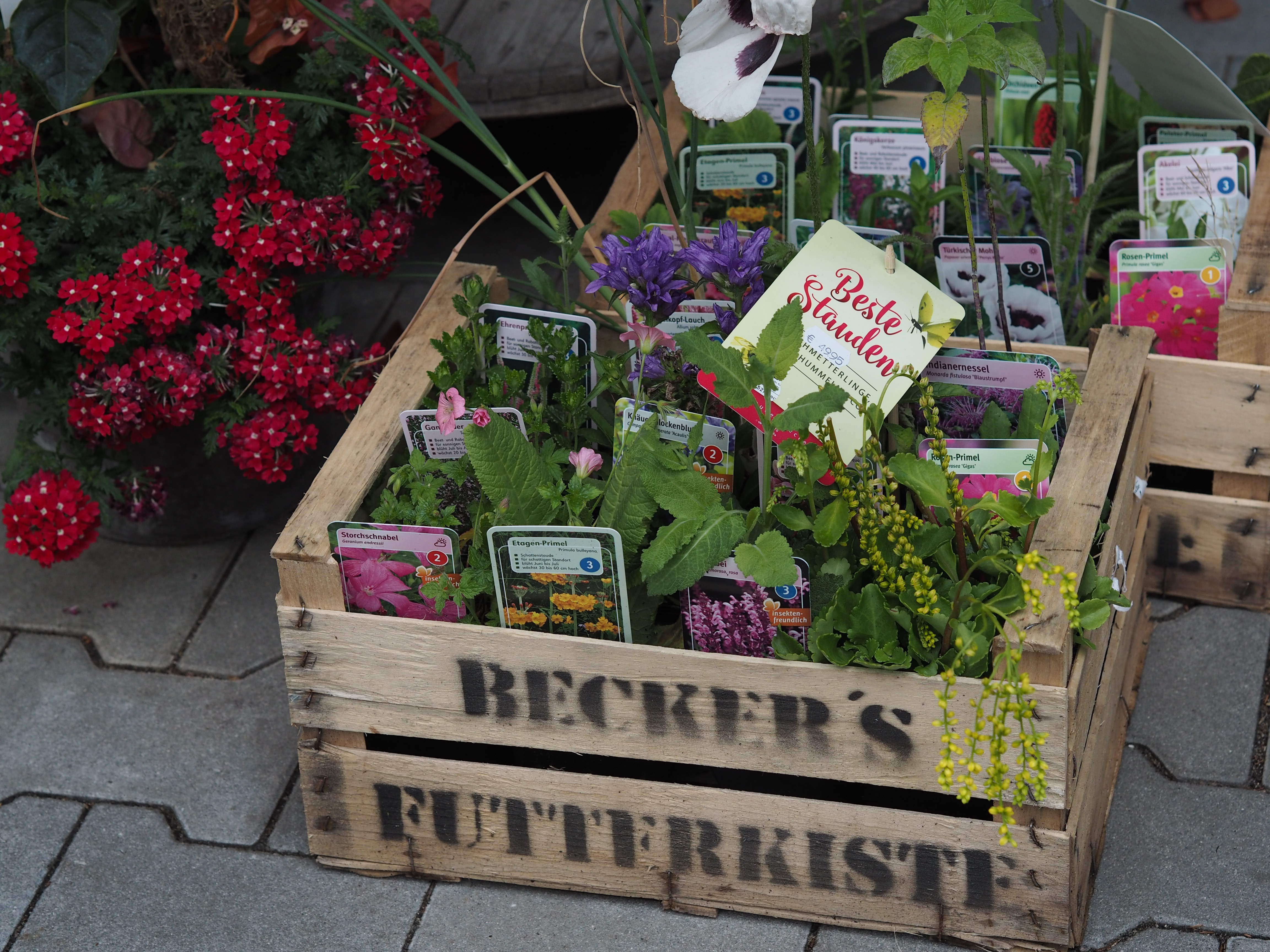 Beispielarbeit von Blumen Honig - HONIG Floristik & Pflanzen - veröffentlicht auf Gartenbau.org