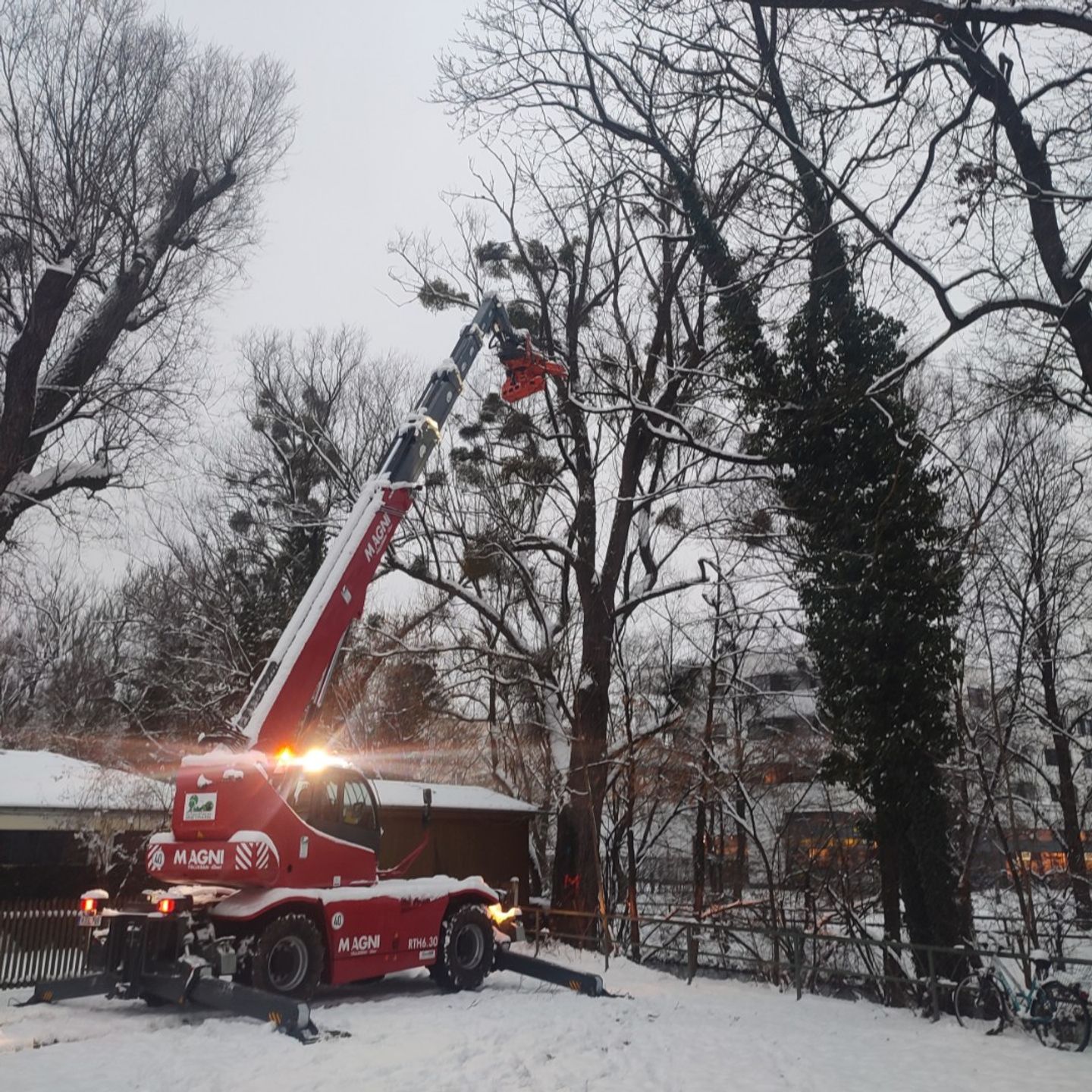Beispielarbeit von Schernthaner GmbH Garten- und Landschaftsbau, Holzfällerei - veröffentlicht auf Gartenbau.org