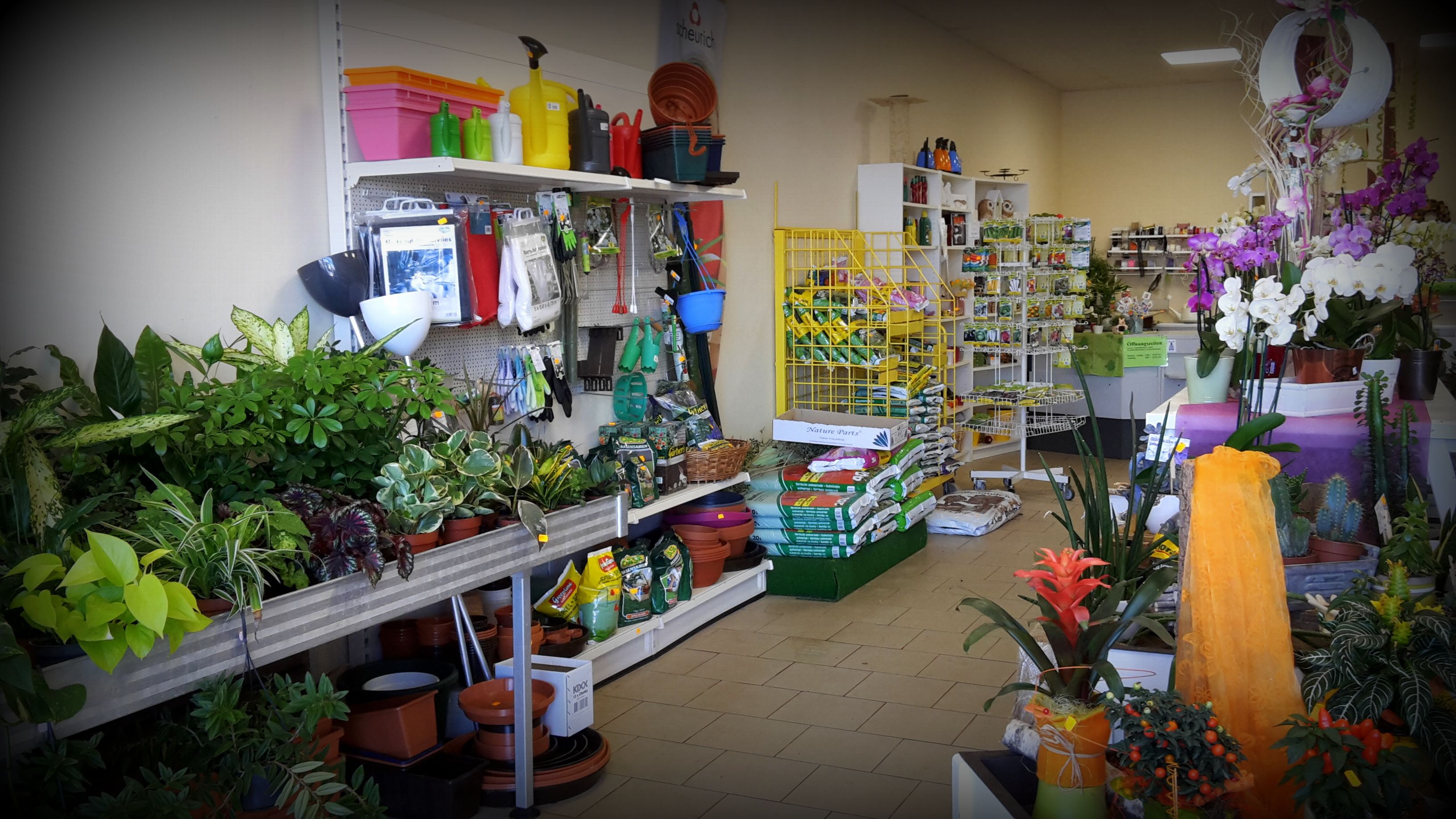 Beispielarbeit von Greizer Vogtlandblumen GmbH, Filiale Fraureuth - veröffentlicht auf Gartenbau.org