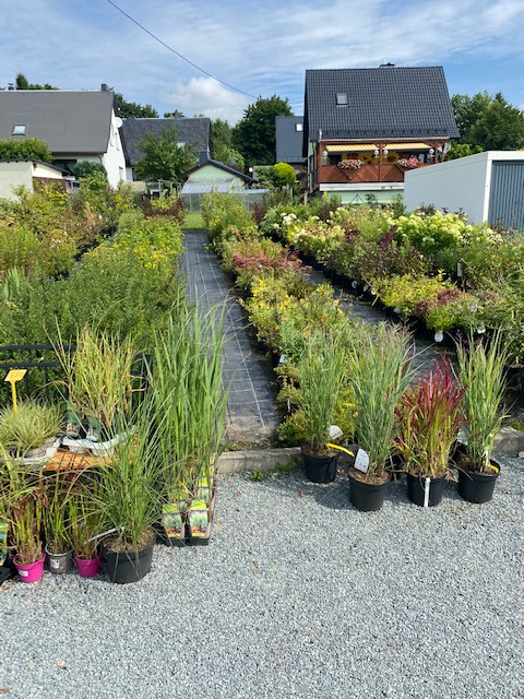 Beispielarbeit von Baumschule Feustel - veröffentlicht auf Gartenbau.org