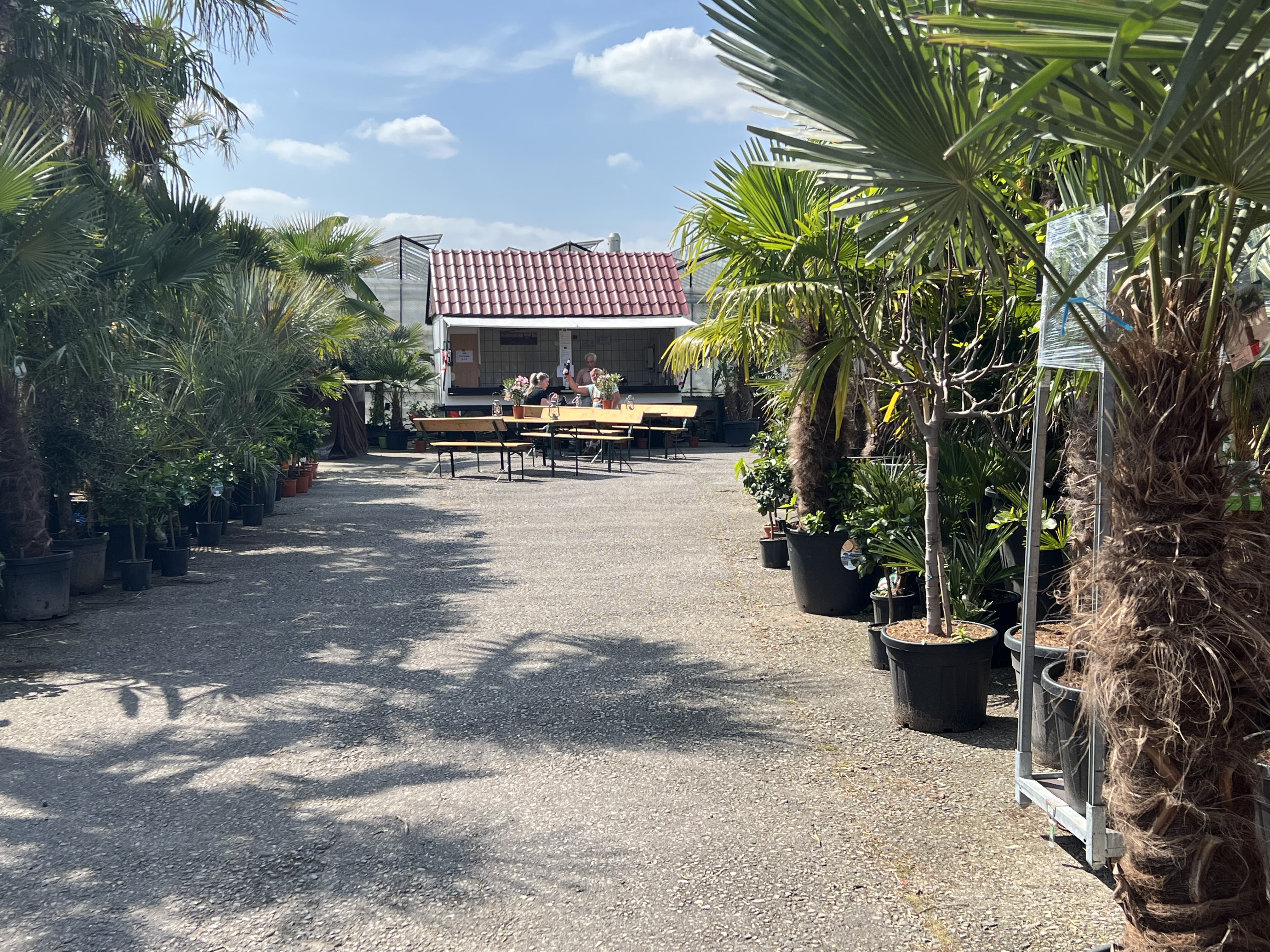 Beispielarbeit von Mediterranea Mediterranes Pflanzenoutlet - veröffentlicht auf Gartenbau.org