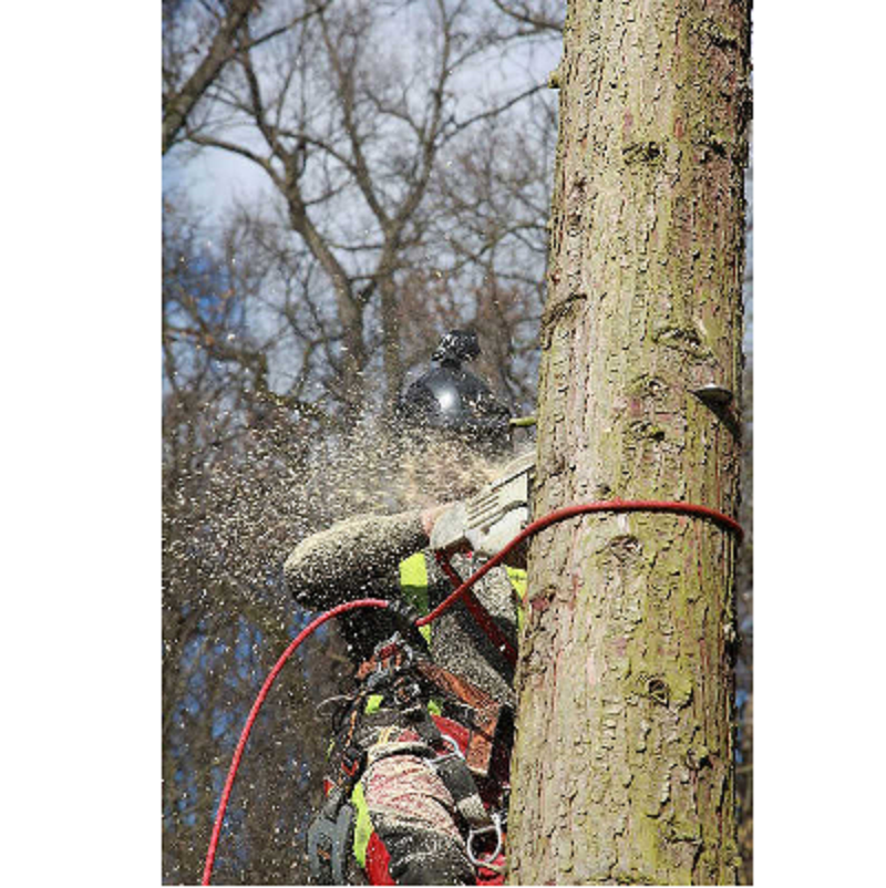 Beispielarbeit von Benjamin Baisch Garten- und Landschaftsbau - veröffentlicht auf Gartenbau.org