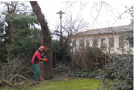 Beispielarbeit von Holzinger Gartengestaltung - veröffentlicht auf Gartenbau.org