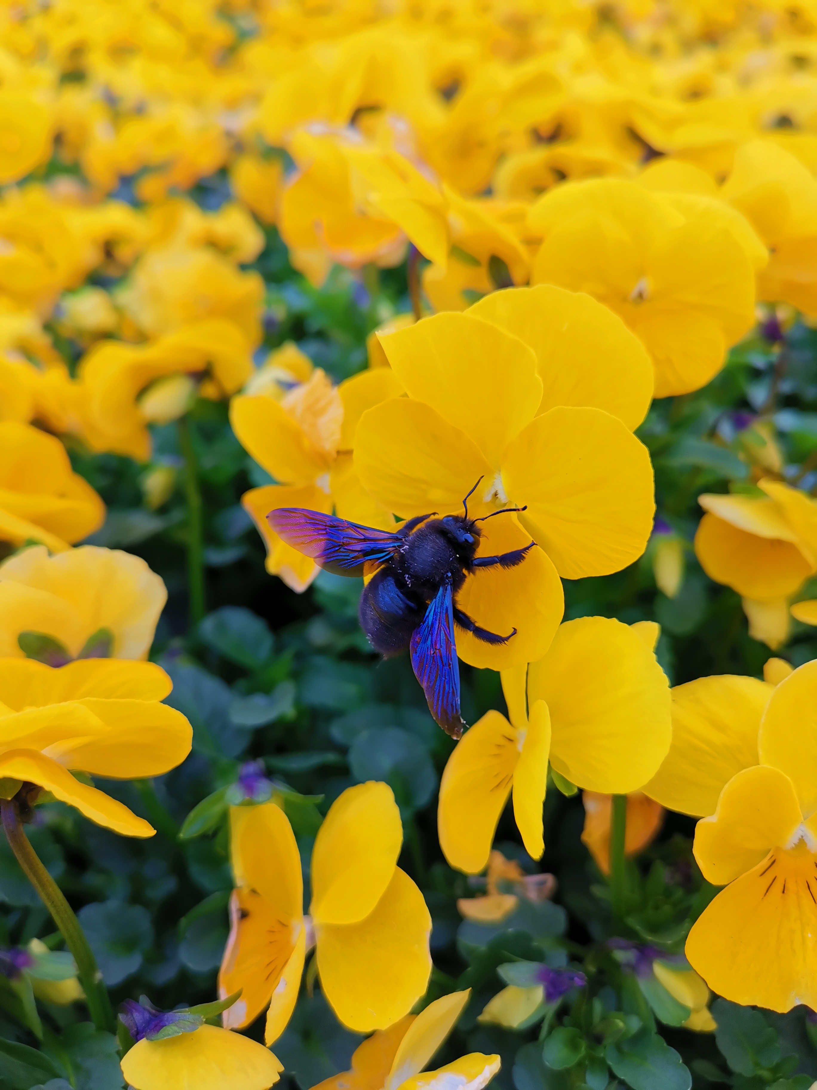 Beispielarbeit von Gärtnerei Pitterle - veröffentlicht auf Gartenbau.org